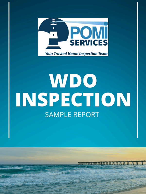 WDO inspection sample report
