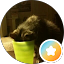 Lily Avatar